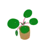 Profile picture of Grassdener